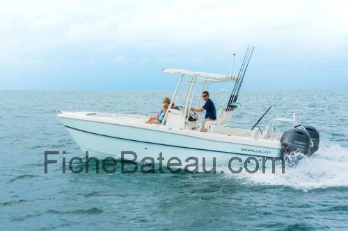 World Cat 230 CC fiche technique et avis